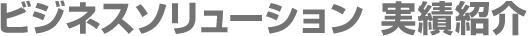 ビジネスソリューション　実績紹介